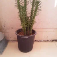 وسایل شخصی