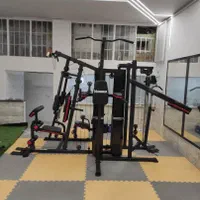 هوم جیم چند کاره خانگی