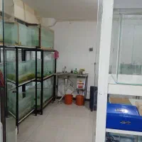 کسب و کار|فروشگاه و مغازه|سامان, |دیوار