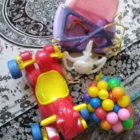 اسباب بازی|اسباب‌بازی بچه|شیراز, قصرالدشت|دیوار