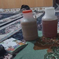 عسل طبیعی کندو به شرط|خوردنی و آشامیدنی|ارژن, |دیوار