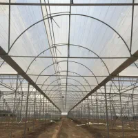 گلخانه ۸۰۰۰|عمده‌فروشی|ورامین, ورامین|دیوار