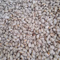 تخفیف ویژه ی بلک فرایدی بر روی همه اجناس