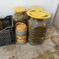 خیار شود سوپر ویژه درجه یک بهترین خیار شورخونگی|خوردنی و آشامیدنی|مشهد, نظام دوست|دیوار
