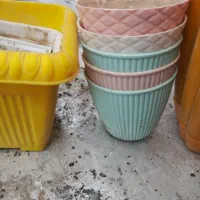 گلدان سالم.|گل و گیاه طبیعی|باسمنج, |دیوار