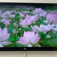 تلویزیون ال جی 49 اینچ