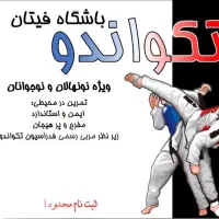 باشگاه رزمی فیتان ویژه پسران (تکواندو، جودو)