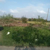 زمین کاملا مسکونی بر اسفالت|فروش زمین و ملک کلنگی|شفت, |دیوار