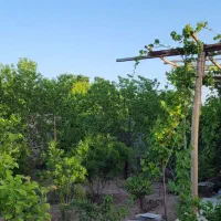 خونه باغ|فروش خانه و ویلا|کاشان, حسن آباد|دیوار