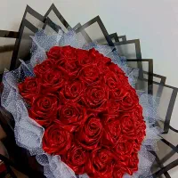 گل روبانی سوپر شاین