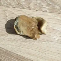 سنگ های زیبای کنار دریا|صنایع دستی و سایر لوازم تزئینی|تهران, شهرک آتی شهر|دیوار