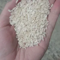 برنج|خوردنی و آشامیدنی|ایلام, |دیوار