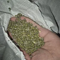 ماش هندی فروش عمده درجه یک