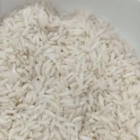 برنج بینام کشت دوم|خوردنی و آشامیدنی|بابل, |دیوار