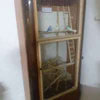 قفس تزیینی عروس هلندی