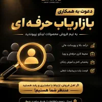 بازاریاب حرفه ای