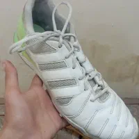 کتونی فوتسال تاپ سالا|کیف، کفش، کمربند|قم, صدوق|دیوار