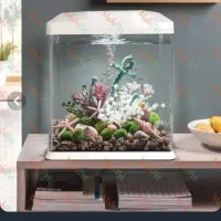 آکواریوم ماهیران