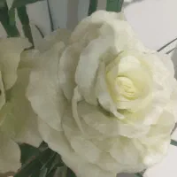 کیف مدارکم گم شوده