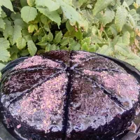 کیک کافه ای وتولد|خوردنی و آشامیدنی|بم, |دیوار