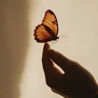 مسافر از کرج به هشتگرد