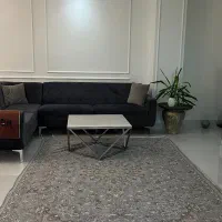 مبل ال طوسی تیره‌ و جلو مبلی استیل