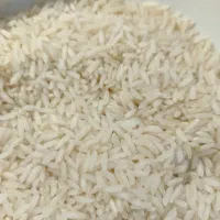 برنج بینام کشت دوم|خوردنی و آشامیدنی|بابل, |دیوار