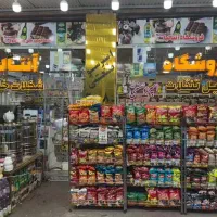 یک نفر همکار اقا یا خانم حرفه جهت کار در سوپرمارکت|استخدام خدمات فروشگاه و رستوران|تبریز, |دیوار