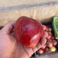 سیب  تازه درشت آبدار