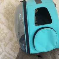 باکس گربه|لوازم جانبی حیوانات|رشت, گلسار|دیوار