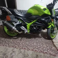 بلنتاz249