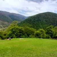 زمین-ییلاقی-گاشه