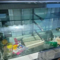 یخچال ویترینی|فروشگاه و مغازه|سنگدوین, |دیوار