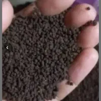 چای درجه یک وارداتی