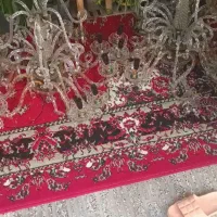 لوستر|لوستر و چراغ آویز|گرگان, |دیوار