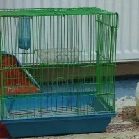 قفس پرنده نو