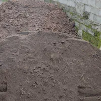 خاک کود نخودی ماسه و محصولات معدنی|خدمات باغبانی و درختکاری|بندر انزلی, چهارفریضه|دیوار