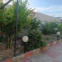 باغچه|فروش خانه و ویلا|پاکدشت, پاکدشت (مامازند)|دیوار