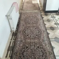 فرش داوزده متری سیمرغ|فرش|قم, مجیدیه|دیوار