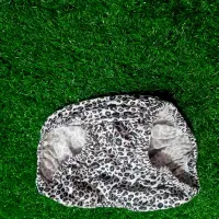 تولیدی لباس زیر عمده وتکی|عمدهفروشی|قرق, |دیوار