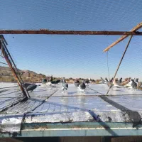 کبوتر سوراخ