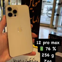 12 pro max