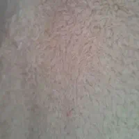 هنوز هواسرد نشده بخر ک گرون نشع نو نو|لباس|نیشابور, ابراهیمی|دیوار