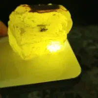 سنگ شجر دریایی