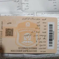 موتورسیکلت کویر 125 قرمز 1402|موتورسیکلت|تاکستان, |دیوار