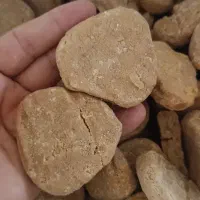 کشک بز شهر ایلام بدون افزودنی