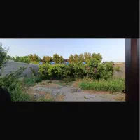 باغ چهاردیواری کوچه ویلاسازی شاهدشهر آماده ی ساخت|فروش زمین و ملک کلنگی|تهران, تهرانسر مرکزی|دیوار