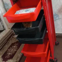 ترولی نو
