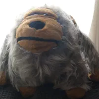 انواع گوریل های پشمالو برند وارداتی مناسب هدیه|اسباببازی بچه|پرند, فاز ۲|دیوار