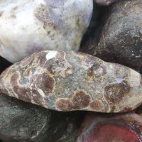 سنگ جواهری|کلکسیون اشیاء عتیقه|رشت, بازار|دیوار